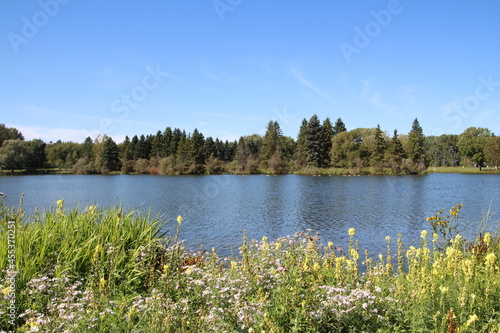 Blooming By The Lake, William Hawrelak Park, Edmonton, Alberta
