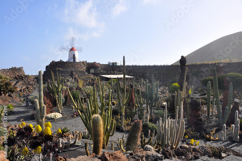 Cactus Garden on spanish island Lanzarote, Spain
