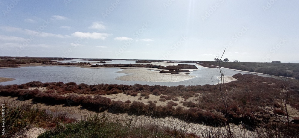 view of the river