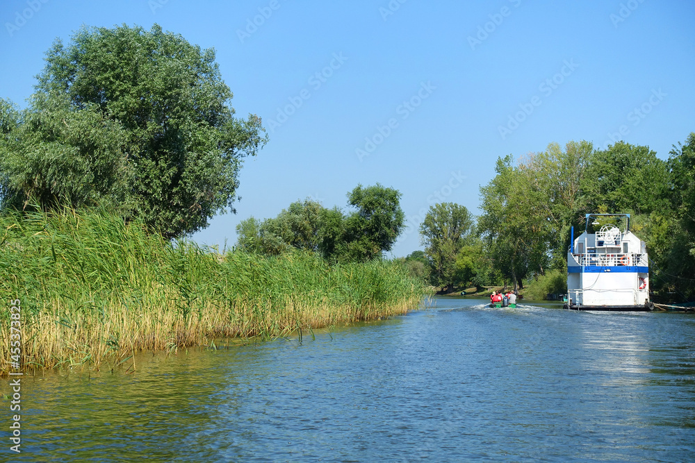 Fototapeta premium Boat trip in Danube Delta. Plants specific to the wetlands of Danube Delta in Romania, Biosphere Reserve, Europe
