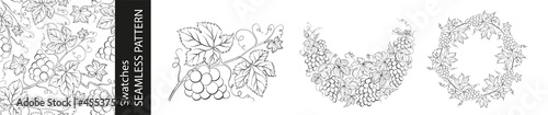 Set of different branches of grapes, seamless pattern and circle frame on white background.