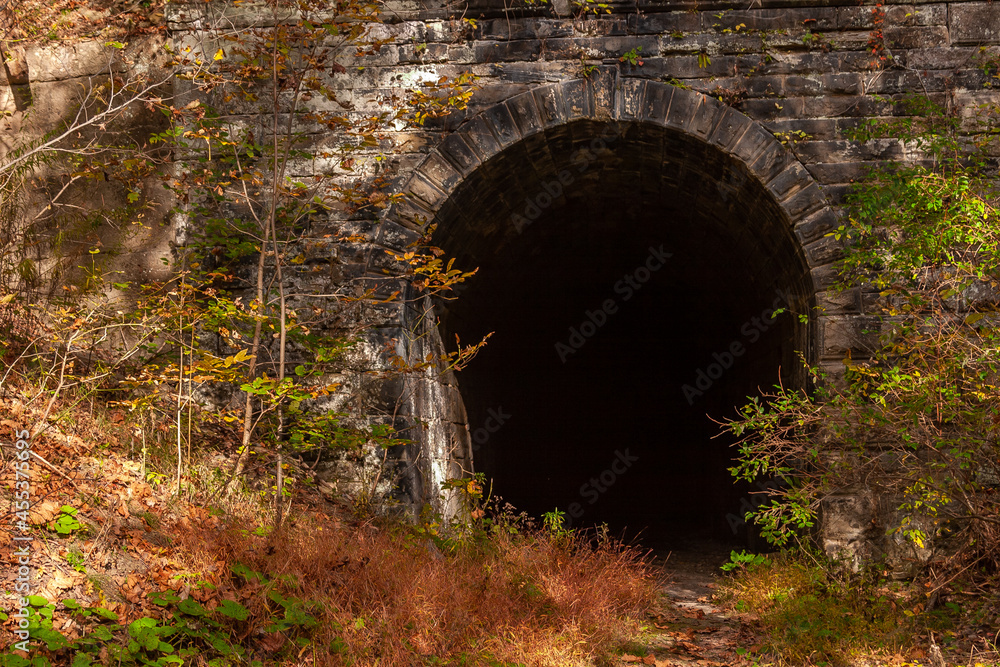 A Tunnel On A Trail In The Woods In Autumn