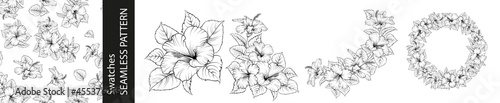 Set of different branches of hibiscus flowers, seamless pattern and circle frame on white background.
