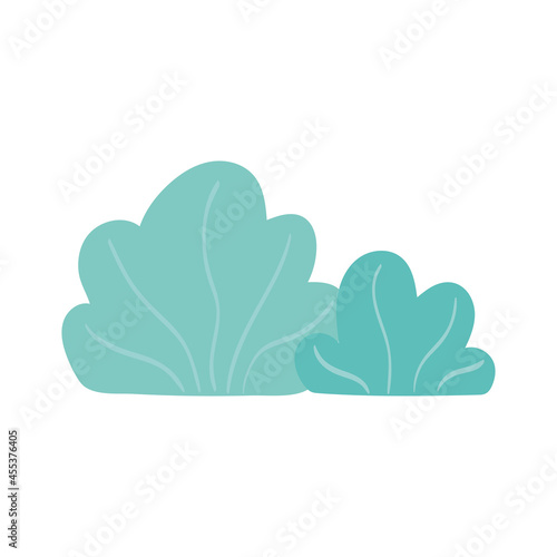 bushes nature foliage