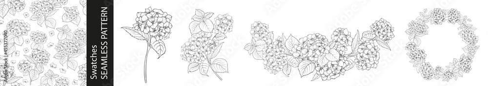 Set of different branches of hydrangeas, pattern and circle frame on white background.