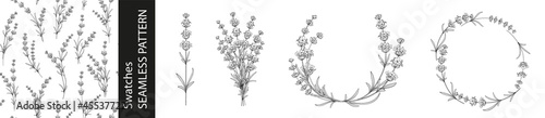 Set of different branches of lavender flowers, pattern and circle frame on white background.