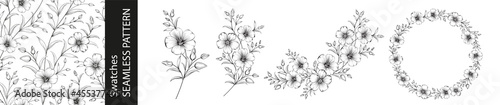 Set of different branches of linen flowers, seamless pattern and circle frame on white background.