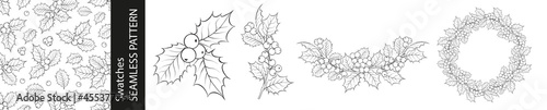Set of different branches of mistletoe flowers, seamless pattern and circle frame on white background.