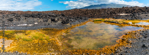 Anchialine Pools on Cape Hanamanioa With Haleakala In The Distance, Makena-La Perouse State Park, Maui, Hawaii, USA