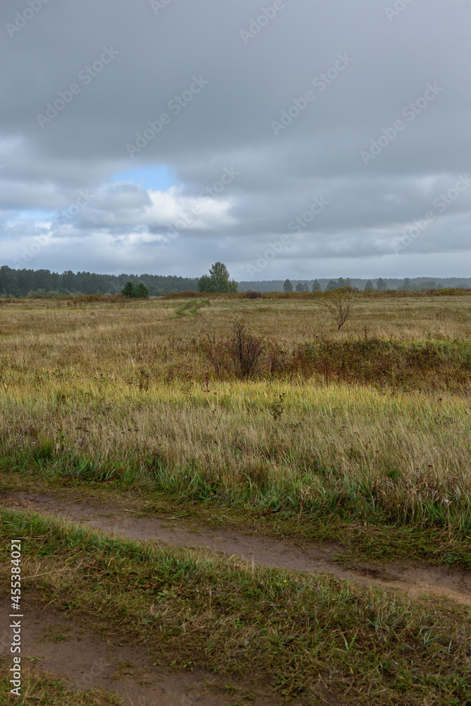 Obraz premium A picturesque landscape. A field in late autumn