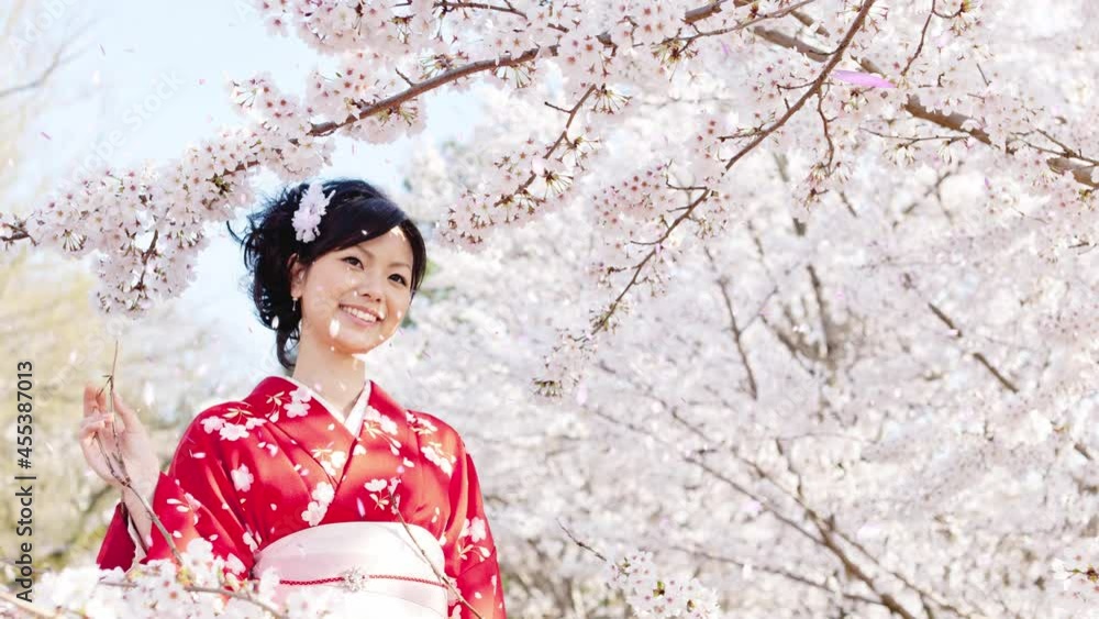 着物を着て花見をする女性 着物を着て花見をする女性