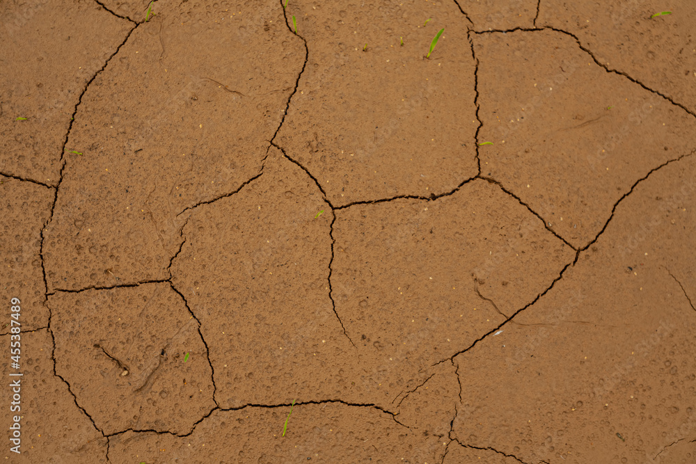 Fototapeta premium Texture of cracks in dried clay