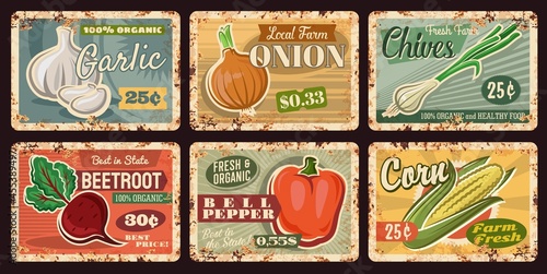 Farm vegetable rusty plates of vector bell pepper, onion, garlic, corn and beet with green leaves, husk and cloves. Vintage tin signboards with fresh organic veggies, farmer market and grocery design