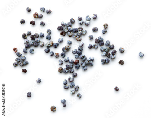 poppy seeds macro