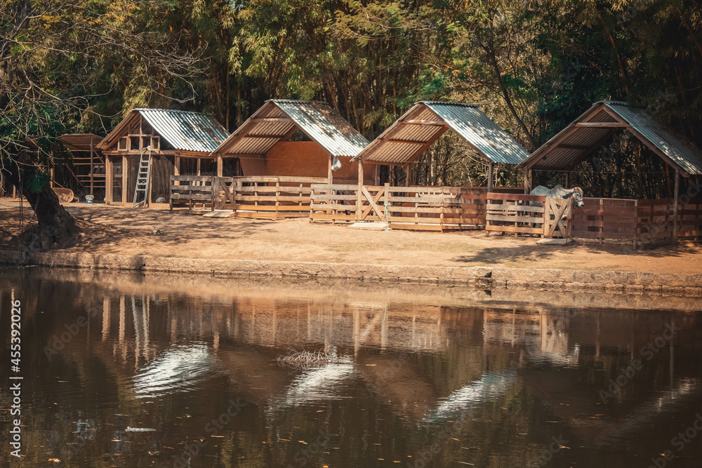 Obraz premium reflexos