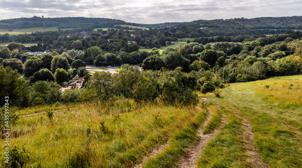 Fototapeta premium The view of Surrey Hills Area of Outstanding Natural Beauty (AONB), from Box hill, along the stepping stone walk.