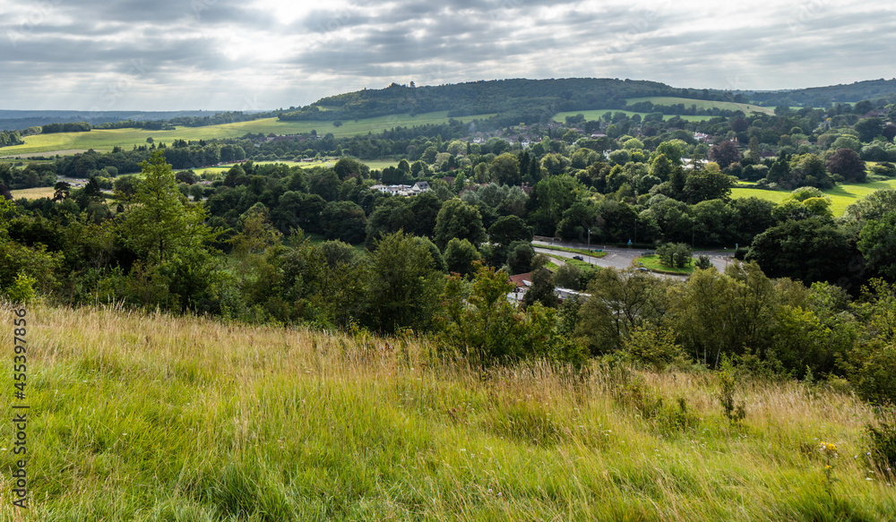 The view of Surrey Hills Area of Outstanding Natural Beauty (AONB), from Box hill, along the stepping stone walk. 