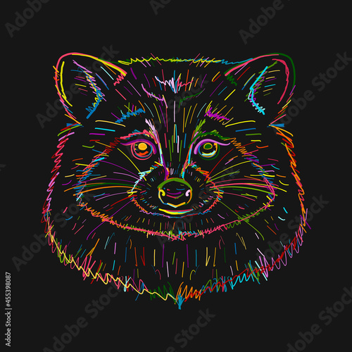 Funny Racoon Face. Colorful Art Isolated on black