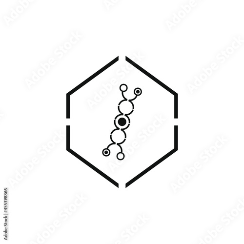 DNA molecule in three truncated hexagons