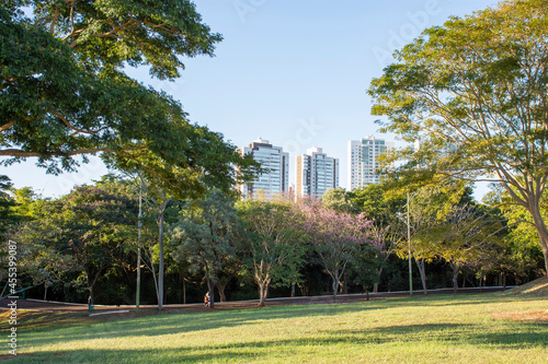 trees in the Parque das Nações Indigenas - Campo Grande - MS