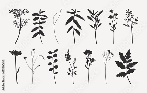 Set of Wild Flowers Silhouettes in Trendy Minimalist Style. Vector Herbs Illustration in Monochrome Colors