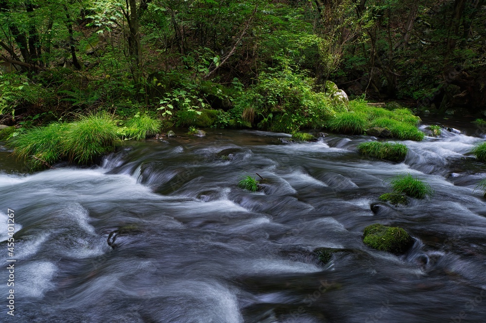 Creek streams in the deep forest in Nagano, Japan Creek streams in the deep forest in Nagano, Japan