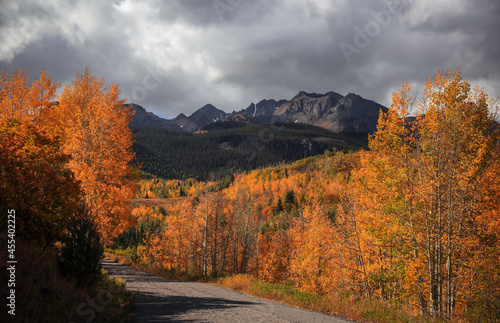 Fall foliage along Colorado scenic back ways on stormy day