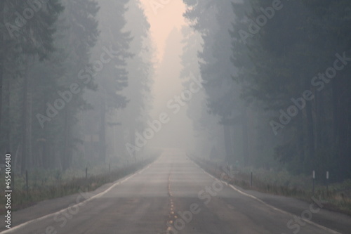 road in the mist