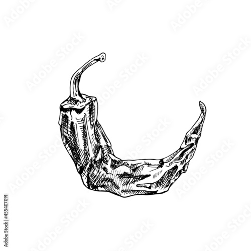 Whole dry pepper chilli. Vintage hatching black illustration. photo