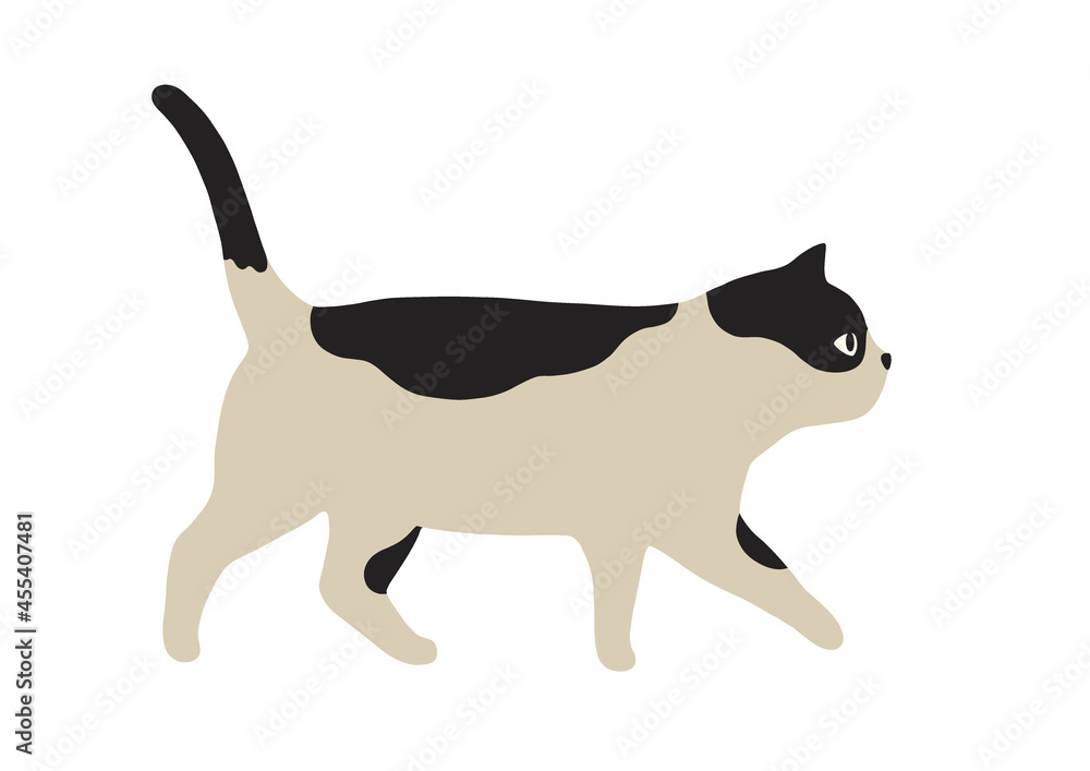 歩く猫のイラスト-ブチ猫