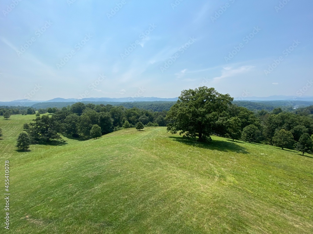 landscape with trees