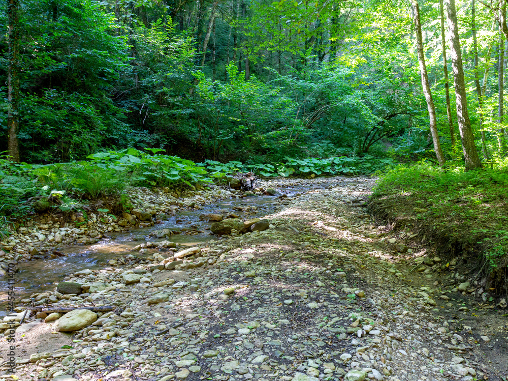 Areas of mountainous terrain, summer, walking along the canyon of a mountain river on a sunny day,impassable places for tourism. Areas of mountainous terrain, summer, walking along the canyon of a mountain river on a sunny day,impassable places for tourism.