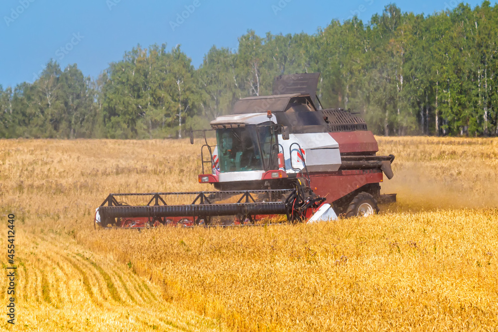 Obraz premium Modern combine harvester working in the field on a clear sunny day