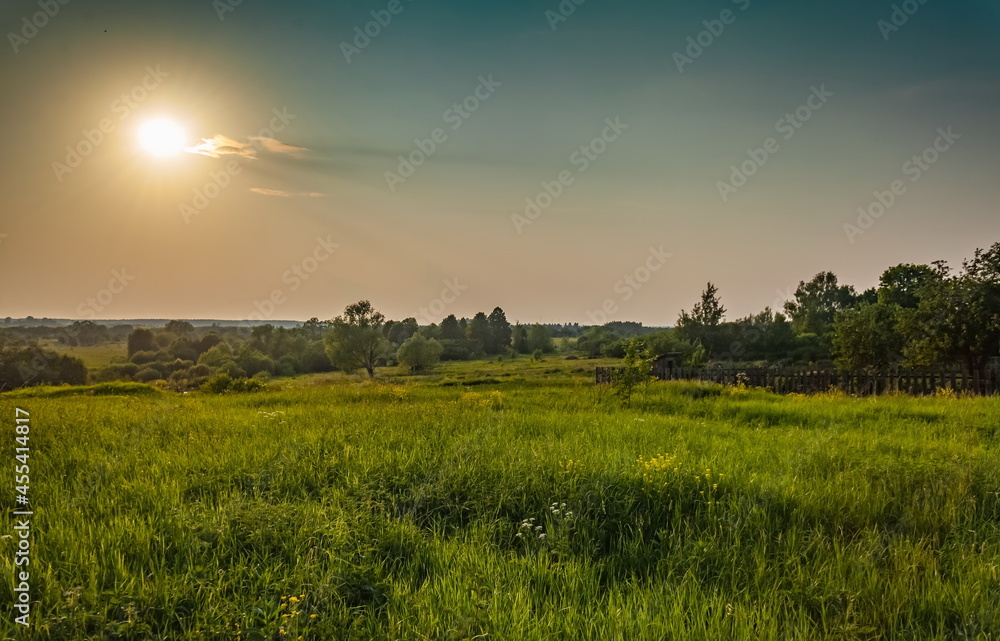 Landscape with field, wildflowers, bushes, grass, trees against the sky with the setting sun