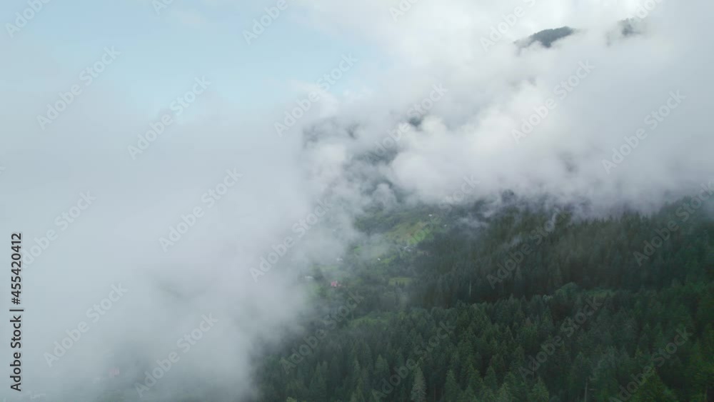 foggy mysterious morning in the mountain range, aerial view of green mountain valley, flying through the fog over a pine forest, tourism, hiking in mountains foggy mysterious morning in the mountain range, aerial view of green mountain valley, flying through the fog over a pine forest, tourism, hiking in mountains