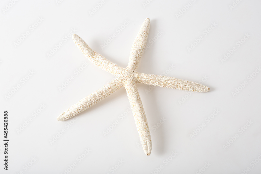 White starfish on white background