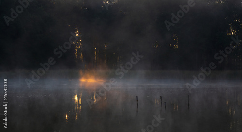 Detail of first sunbeam shine through forest to pond with misty haze, fog. Morning sunrise, late summer Czech landscape