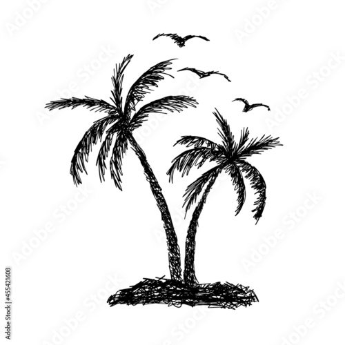 Palm trees, sun and seagulls. Vector illustration