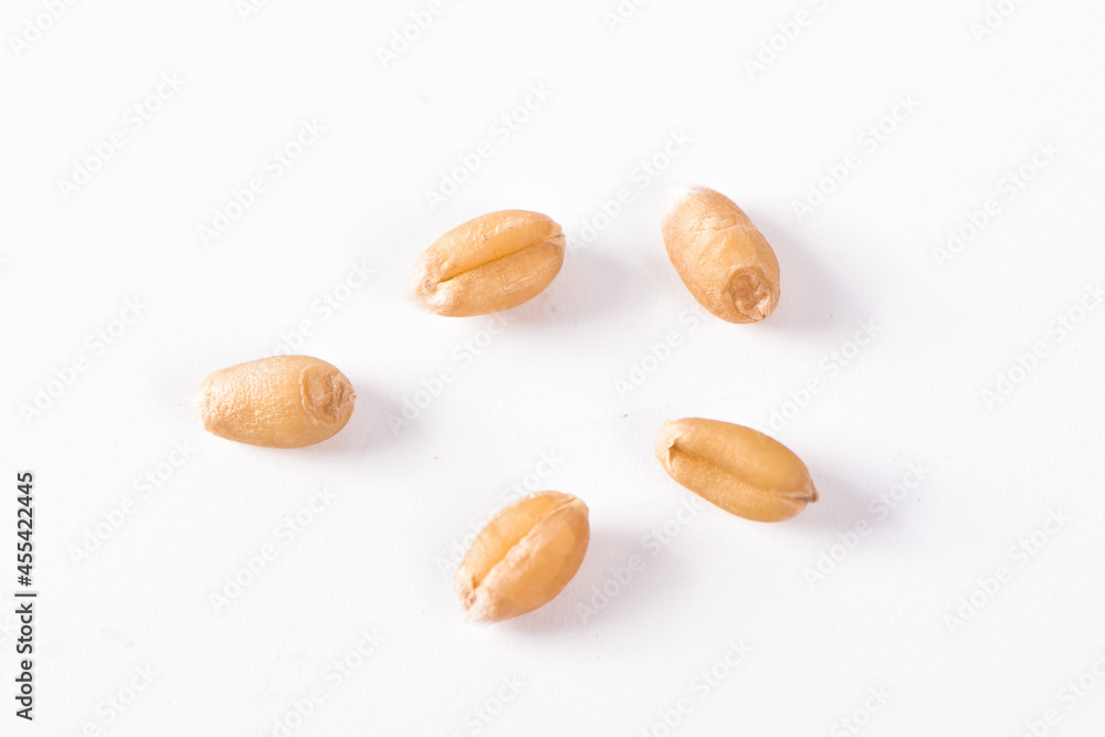 wheat grain isolated on white background wheat grain isolated on white background