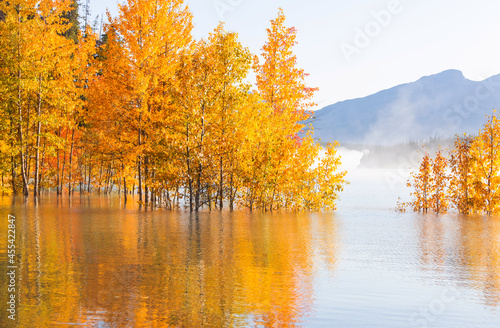 Autumn lake