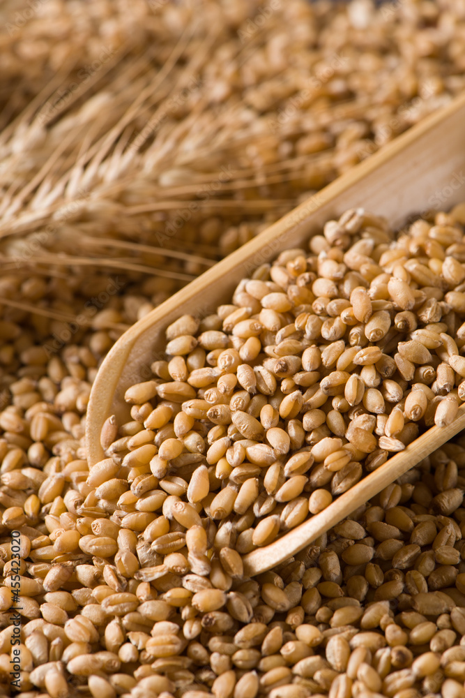 Fototapeta premium wheat grain and ears of wheat background