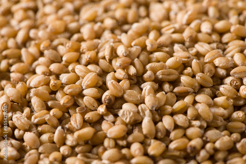 Fototapeta premium close up of raw wheat grain texture background