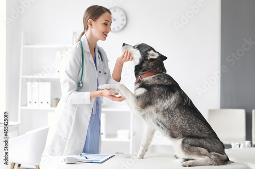 Veterinarian examining cute...