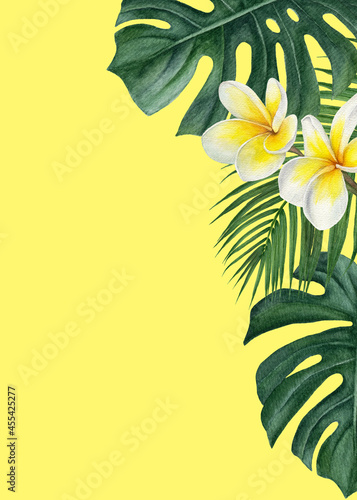 Tropical background with hand-painted watercolor leaves and flowers. Template with a place for text with a monstera, palm leaf, plumeria