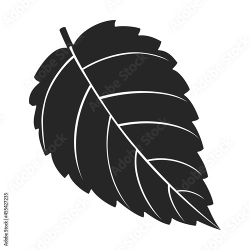 Mint leaf black vector icon.Black vector illustration fresh peppermint. Isolated illustration of mint leaf icon on white background.