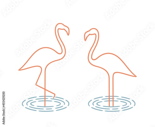Flamingo outline. Isolated flamingo on white background