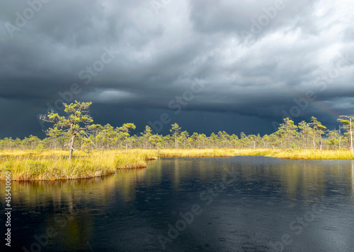 Dramatic clouds on the horizon, beautiful bog landscape before the storm, traditional swamp vegetation in autumn, sun-lit mire landscape, Palsu swamp, Jumurda parish, Erglu district, Latvia photo