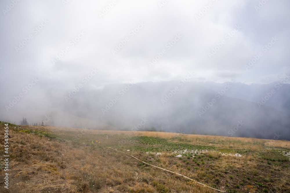 Hurricane Ridge