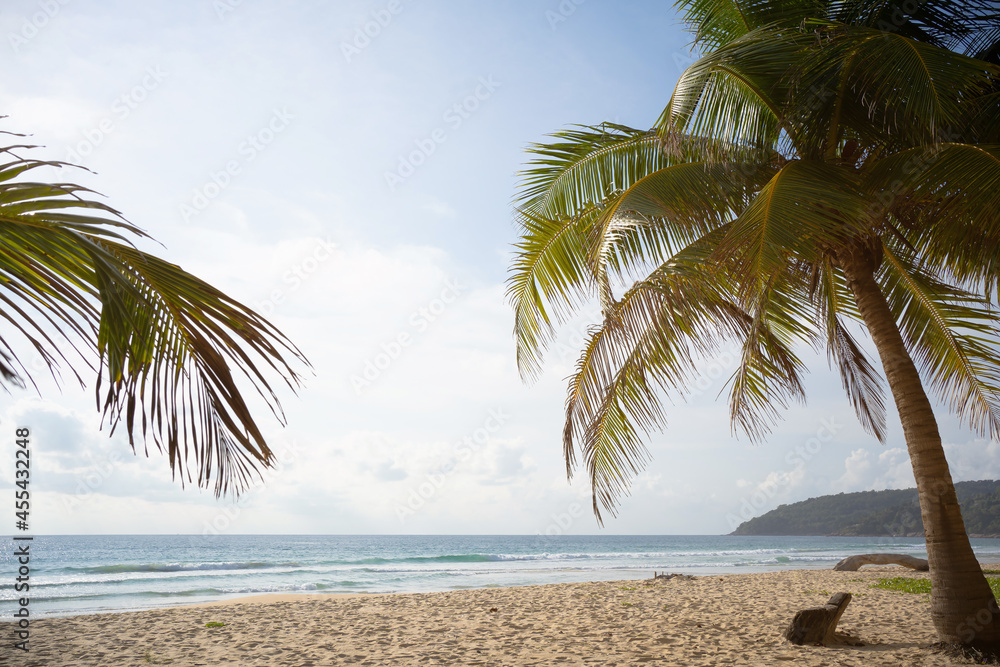 Naklejka premium palm tree on the beach.coconut trees on sun light and clouds background.