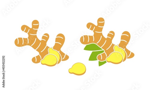 Ginger logo. Isolated ginger on white background